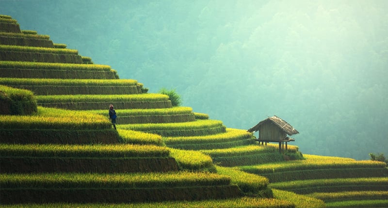 Sustainable Glamping